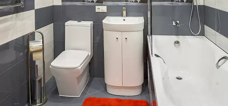 Hansgrohe Shaving Mirror Dyer